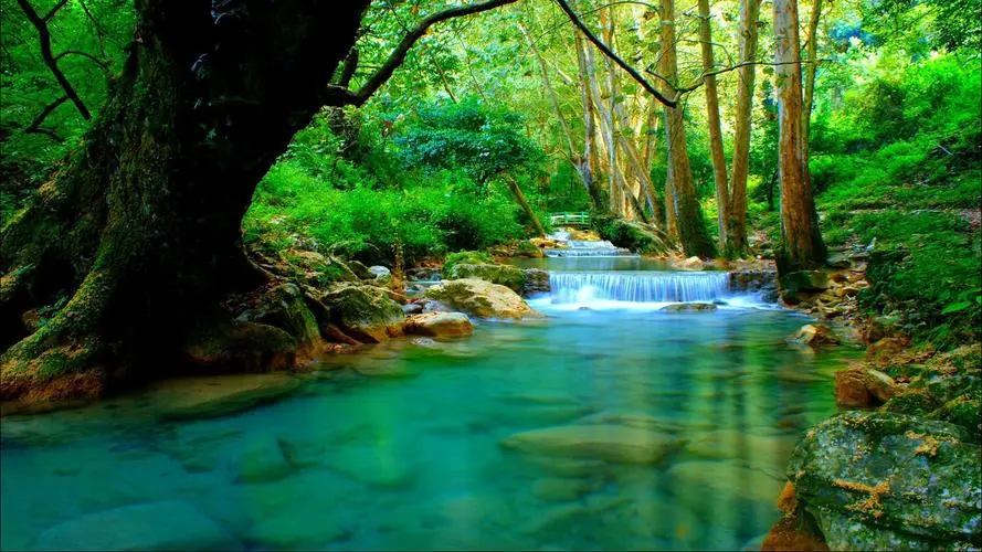 幻灯片测试的配图3 - Haida(嗨达)主题演示